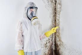 Why You Should Choose Our Mold Remediation Services in Harriman, TN